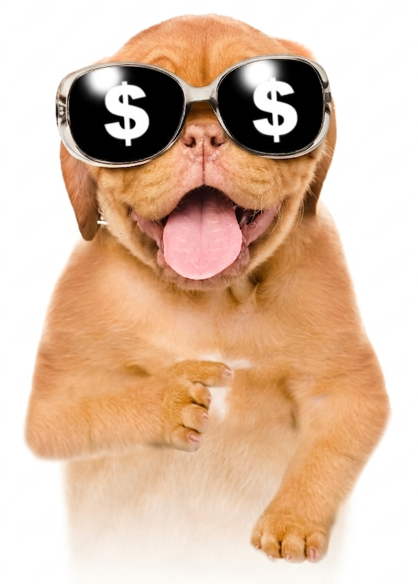 Pointing Dog